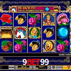 A Experiência Imersiva dos Cassinos Ao Vivo no 9bet99